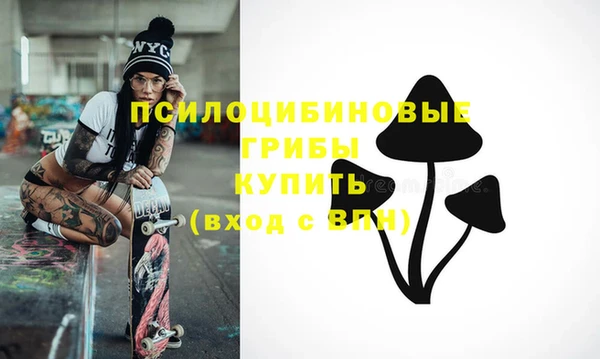 дживик Алексин
