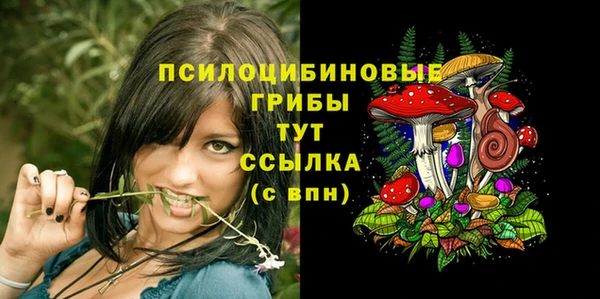 дживик Алексин