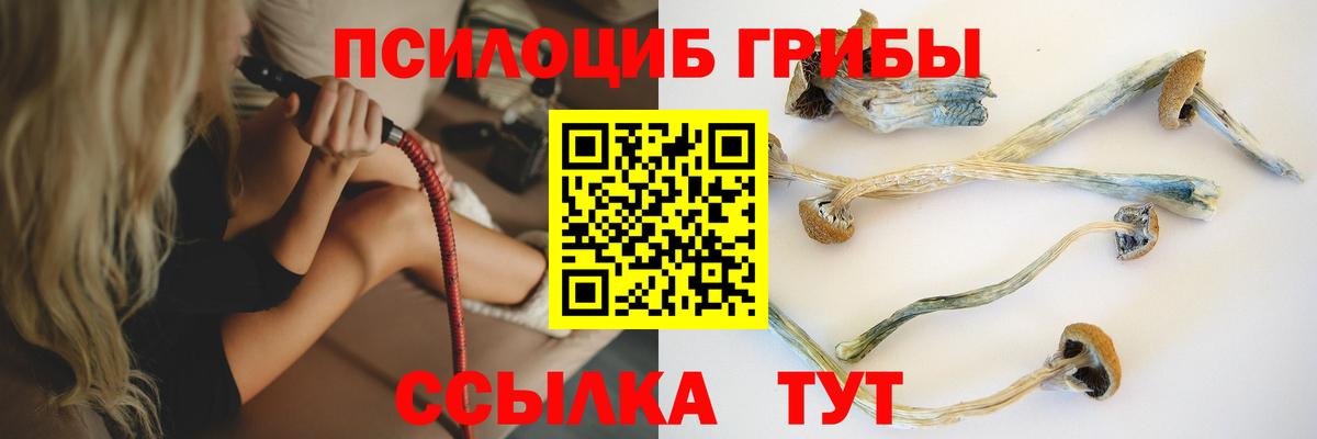 Ярцево  Псилоцибиновые грибы Magic Shrooms  Вход с VPN 